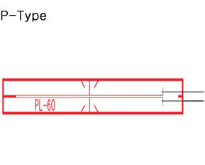 P-Type